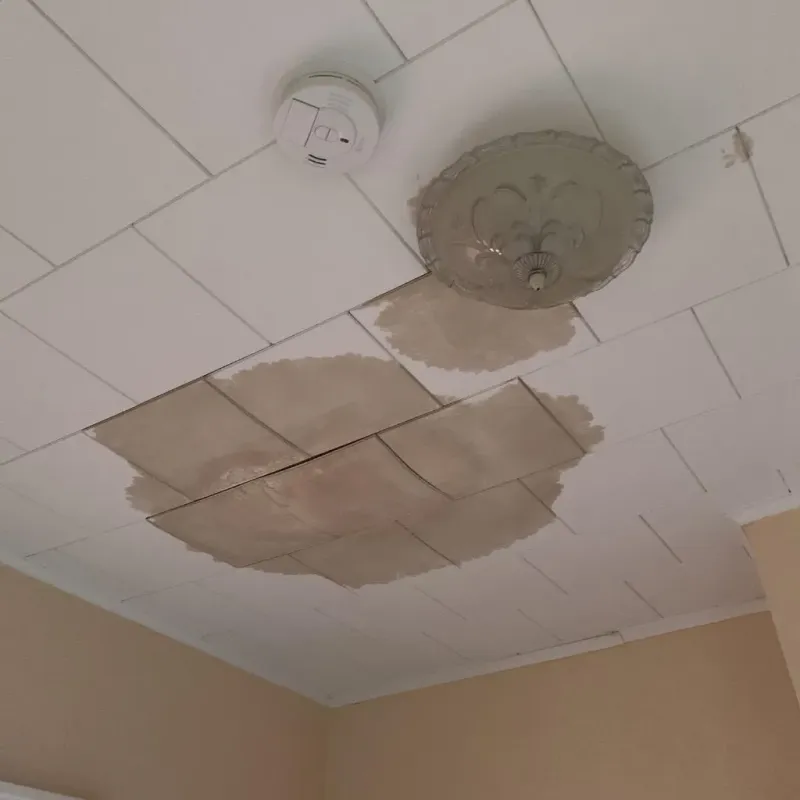 Ceiling Water Damage Repair in Bensenville, IL