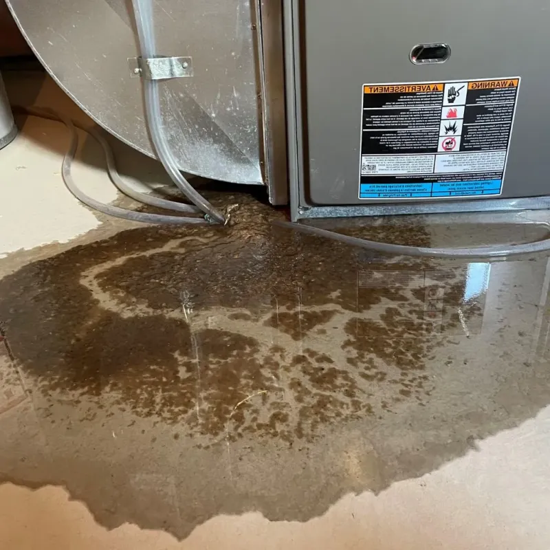 Pipe Burst and Leak Restoration in Bensenville, IL
