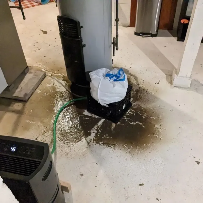Sewage Backup Cleanup Service in Bensenville, IL